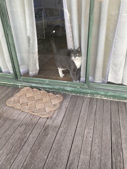 Stainless Steel Cat Litter Box