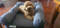 Small Eco Orthopedic Dog Couch Bed with Three Bolster Cushions