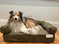 Small Orthopedic Dog Bed with Three Bolster Cushions - Eco Friendly & Non-Toxic