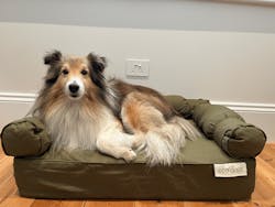 Small Orthopedic Dog Bed with Three Bolster Cushions - Eco Friendly & Non-Toxic