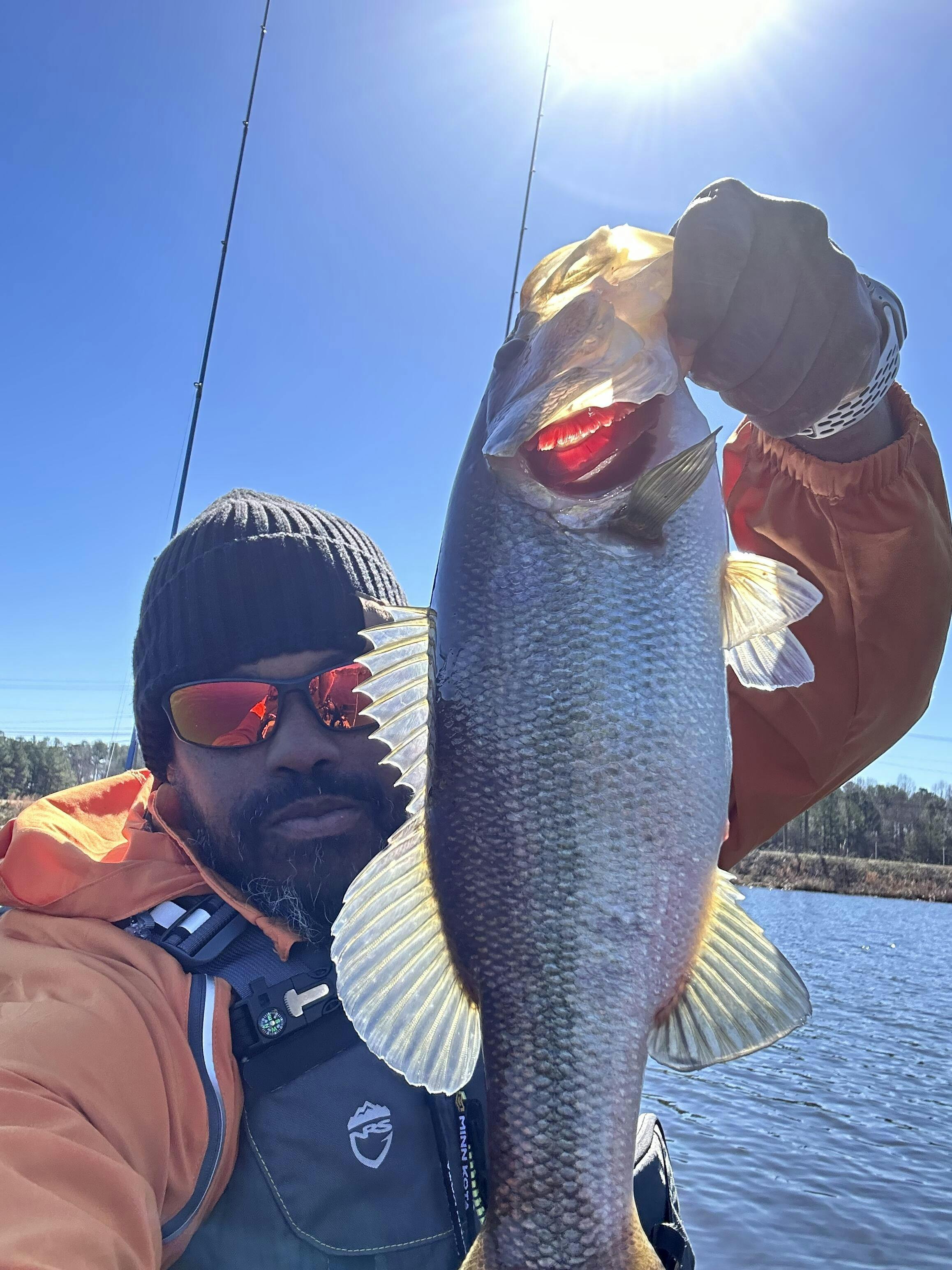 Old Town Sportsman AutoPilot 120 Fishing Kayak — Eco Fishing Shop