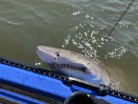 NuCanoe U10 Fishing Kayak