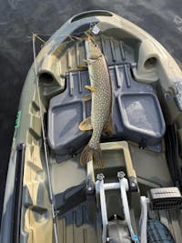 3 Waters Big Fish 108 Pedal Drive Fishing Kayak