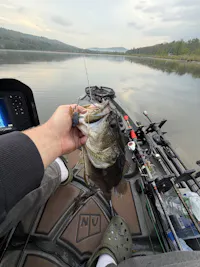 YakGadget Flexrod AnglePro 3 Rod stager