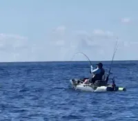 Eco Fishing Shop