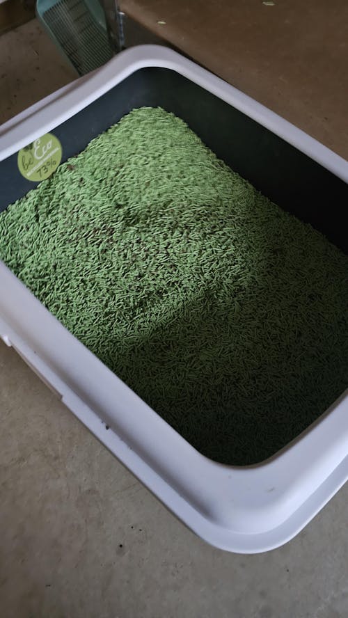 Nisip tofu pisici Ecosand ceai verde 6L