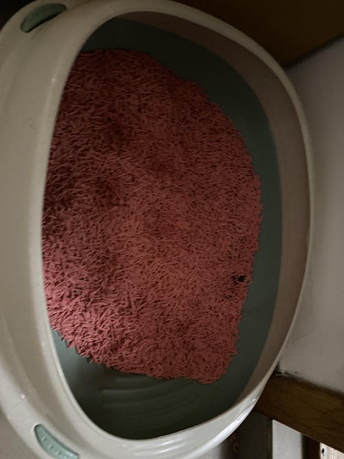 Nisip tofu pisici Ecosand bomboane 6L