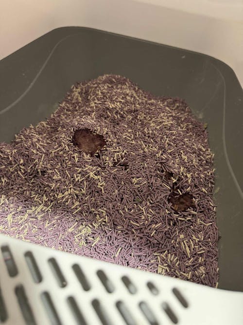 Nisip tofu pisici Ecosand fara parfum 6L