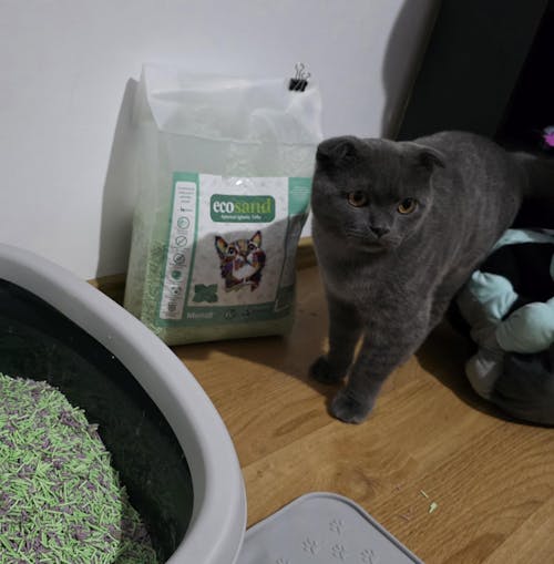 Nisip tofu pisici Ecosand mentă 6L