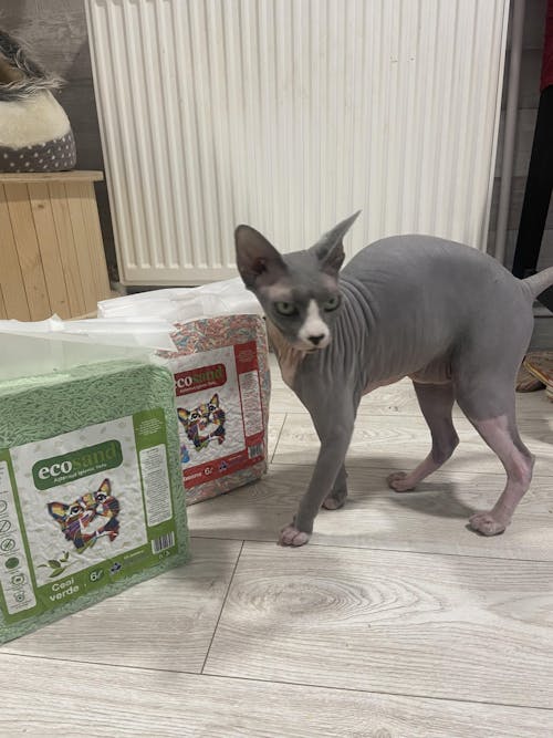 Pachet STARTER - 4 pungi + lopatica speciala