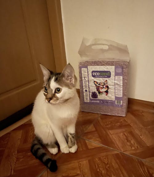 Pachet STARTER - 4 pungi + lopatica speciala