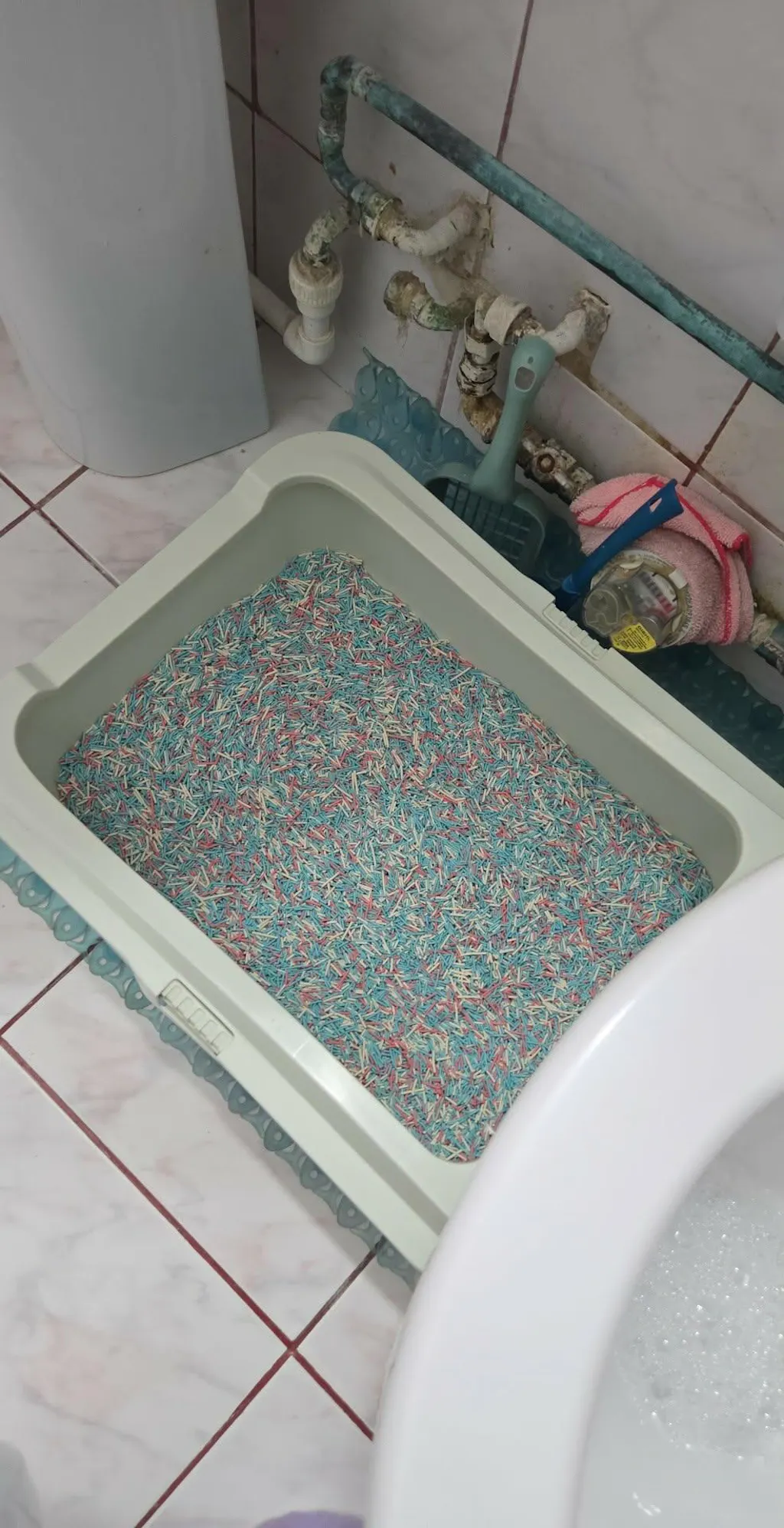 Pachet STARTER - 4 pungi + lopatica speciala