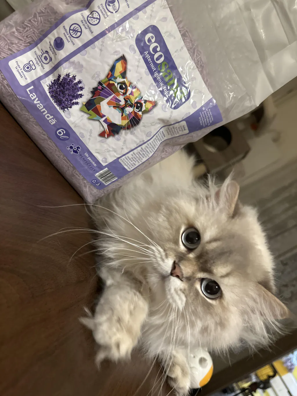 Pachet PROMO - 10 pungi Nisip tofu diferite Ecosand