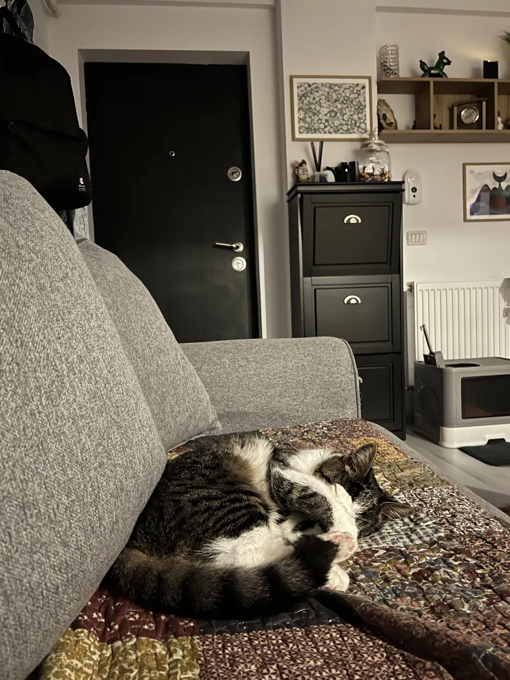 Nisip tofu pisici Ecosand capsuni 6L