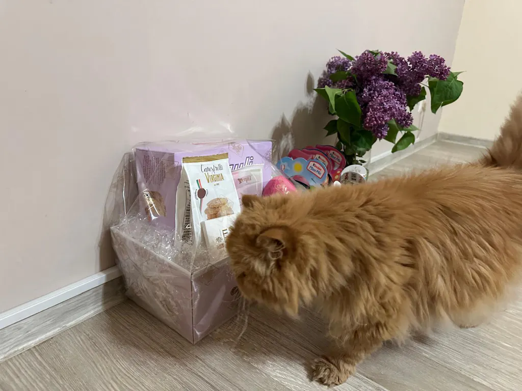 Nisip tofu pisici Ecosand caffe latte 6L