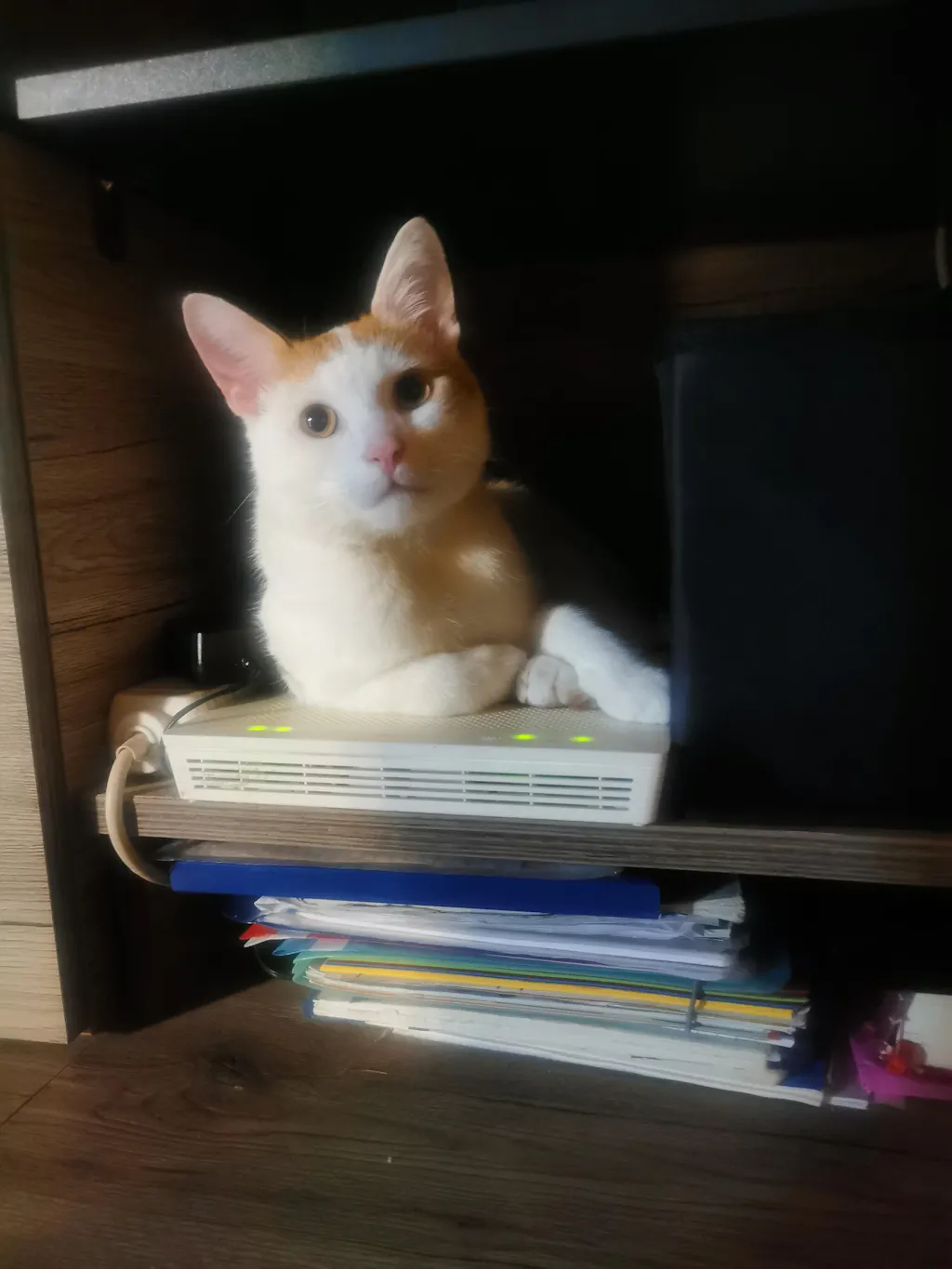 Nisip tofu pisici Ecosand bomboane 6L