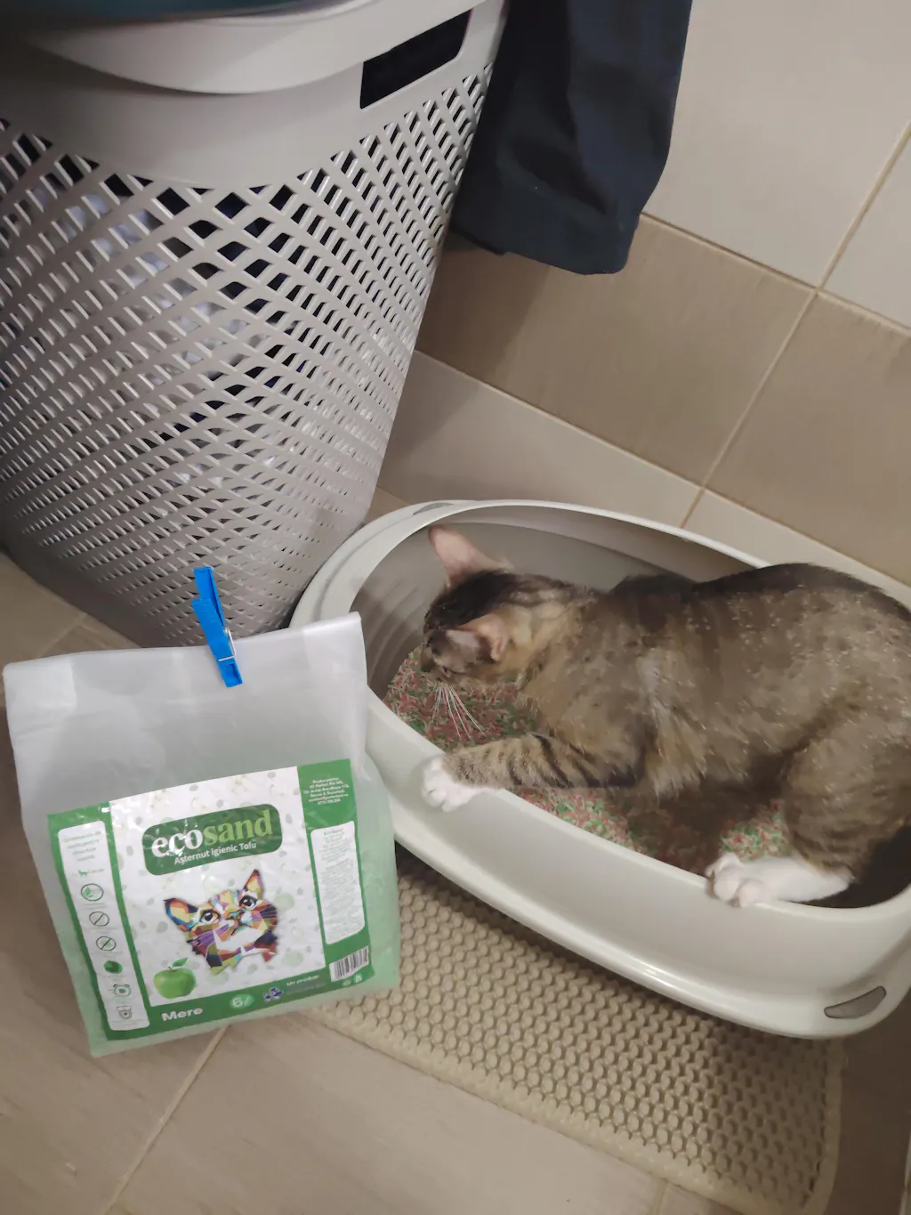 Pachet STARTER - 4 pungi + lopatica speciala