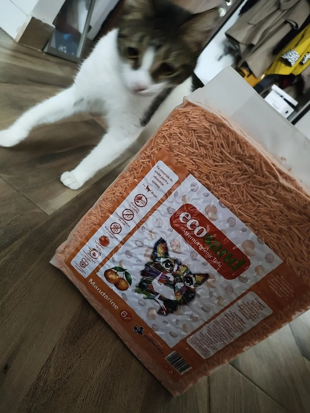 Nisip tofu pisici Ecosand mandarine 6L
