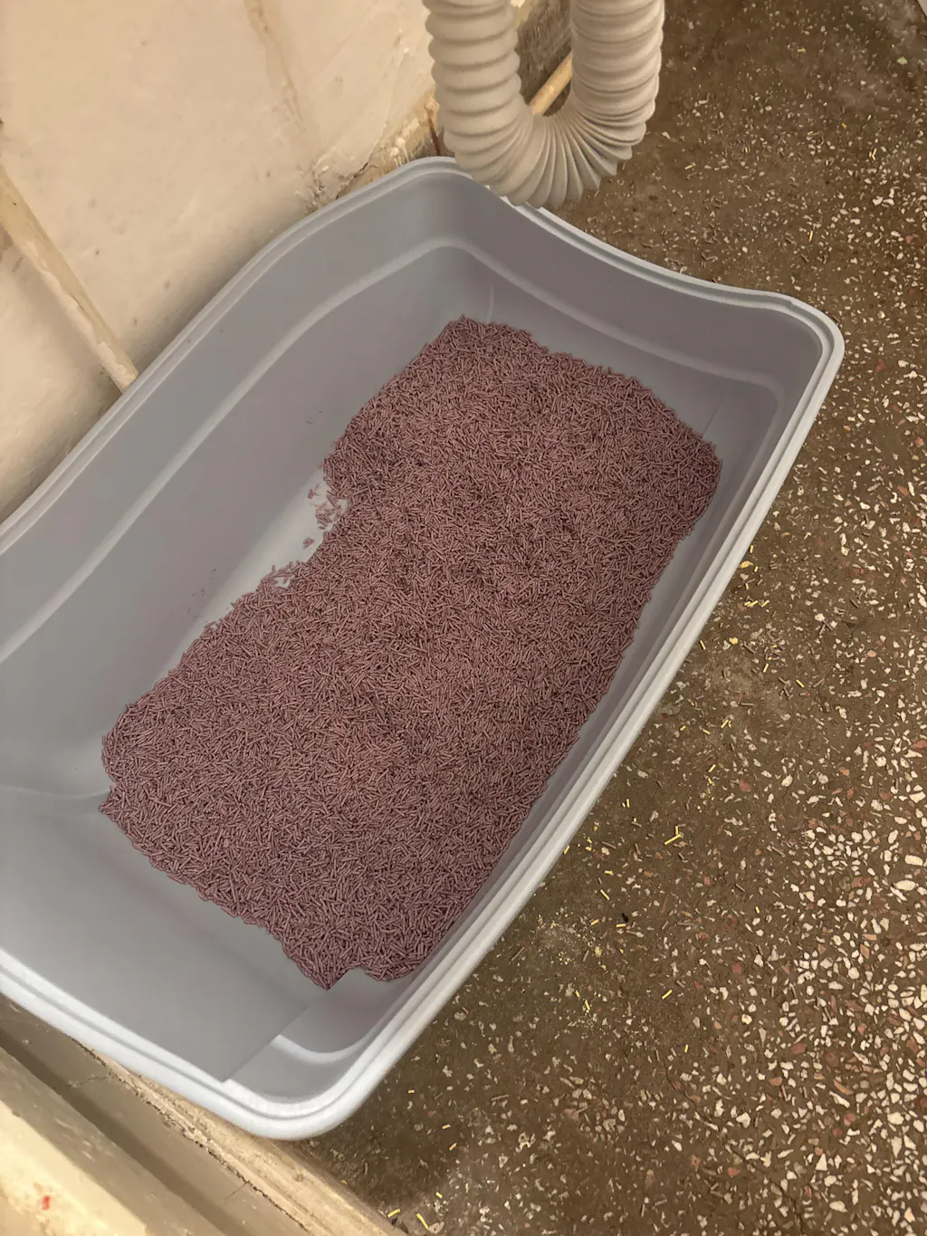 Nisip tofu pisici Ecosand lavanda 6L