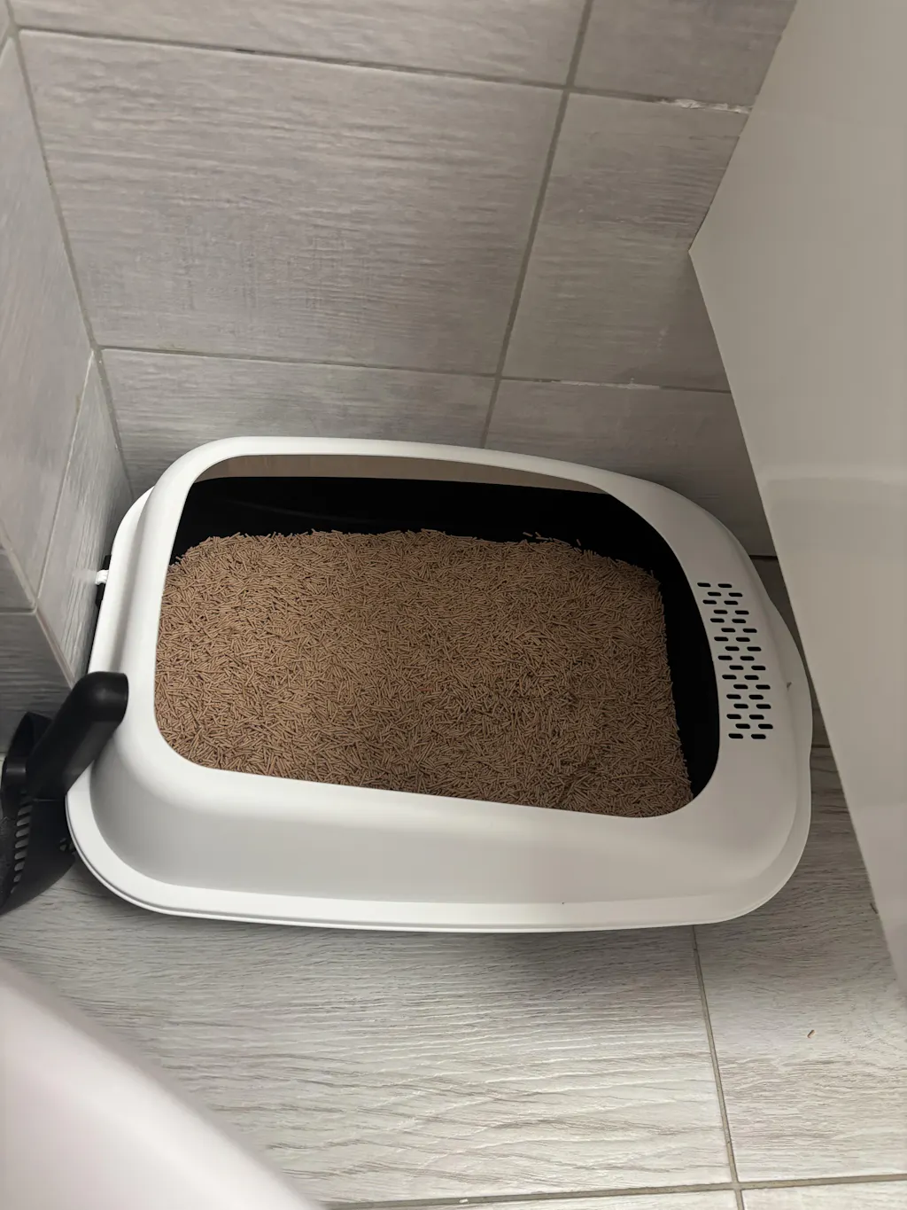 Nisip tofu pisici Ecosand caffe latte 6L