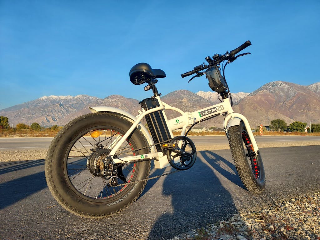 ecotric fat bike