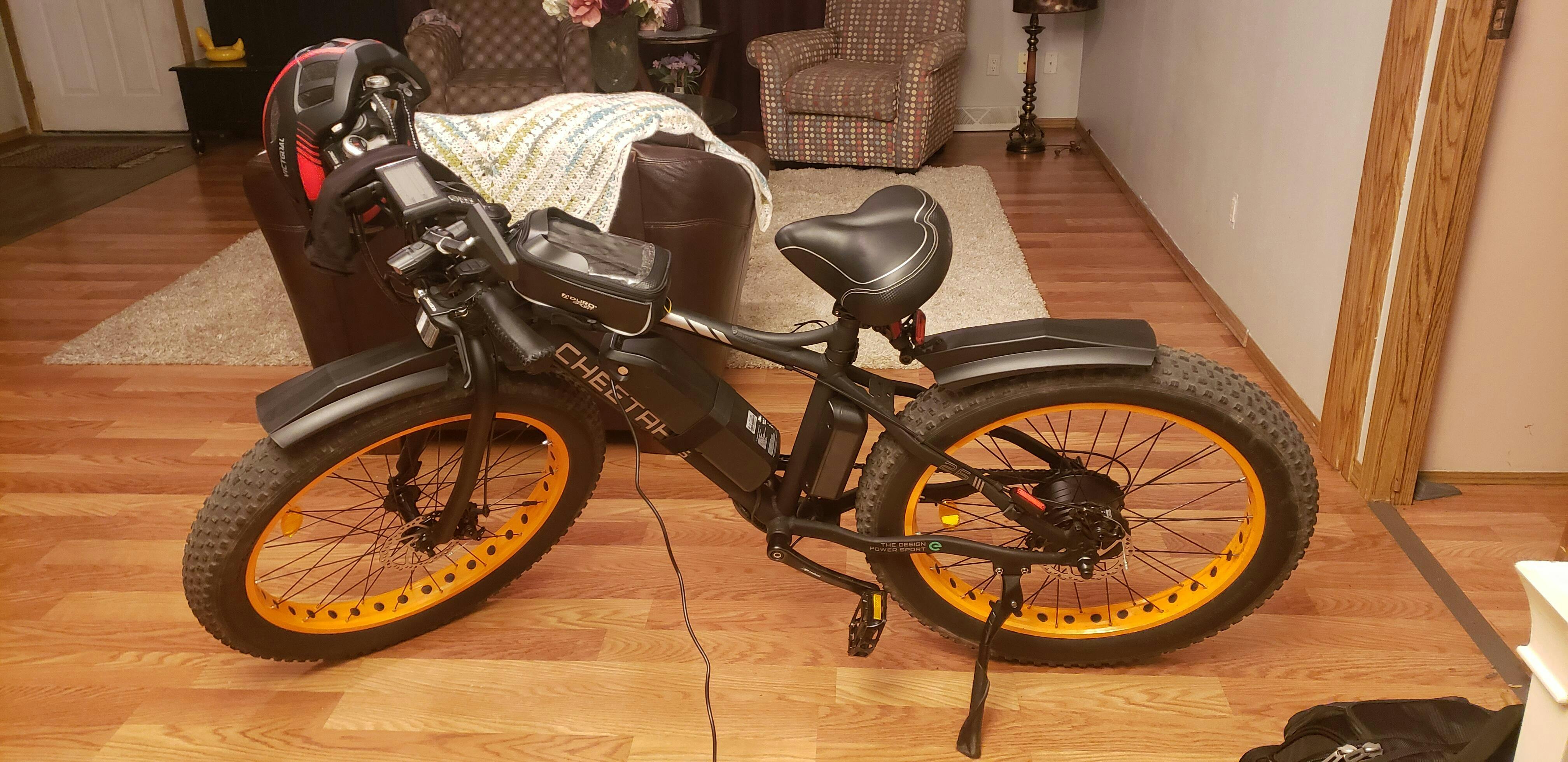 ecotric 26 inch electric bike