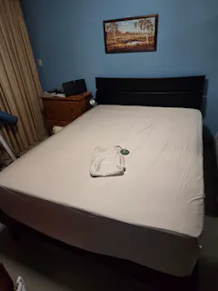 Review picture