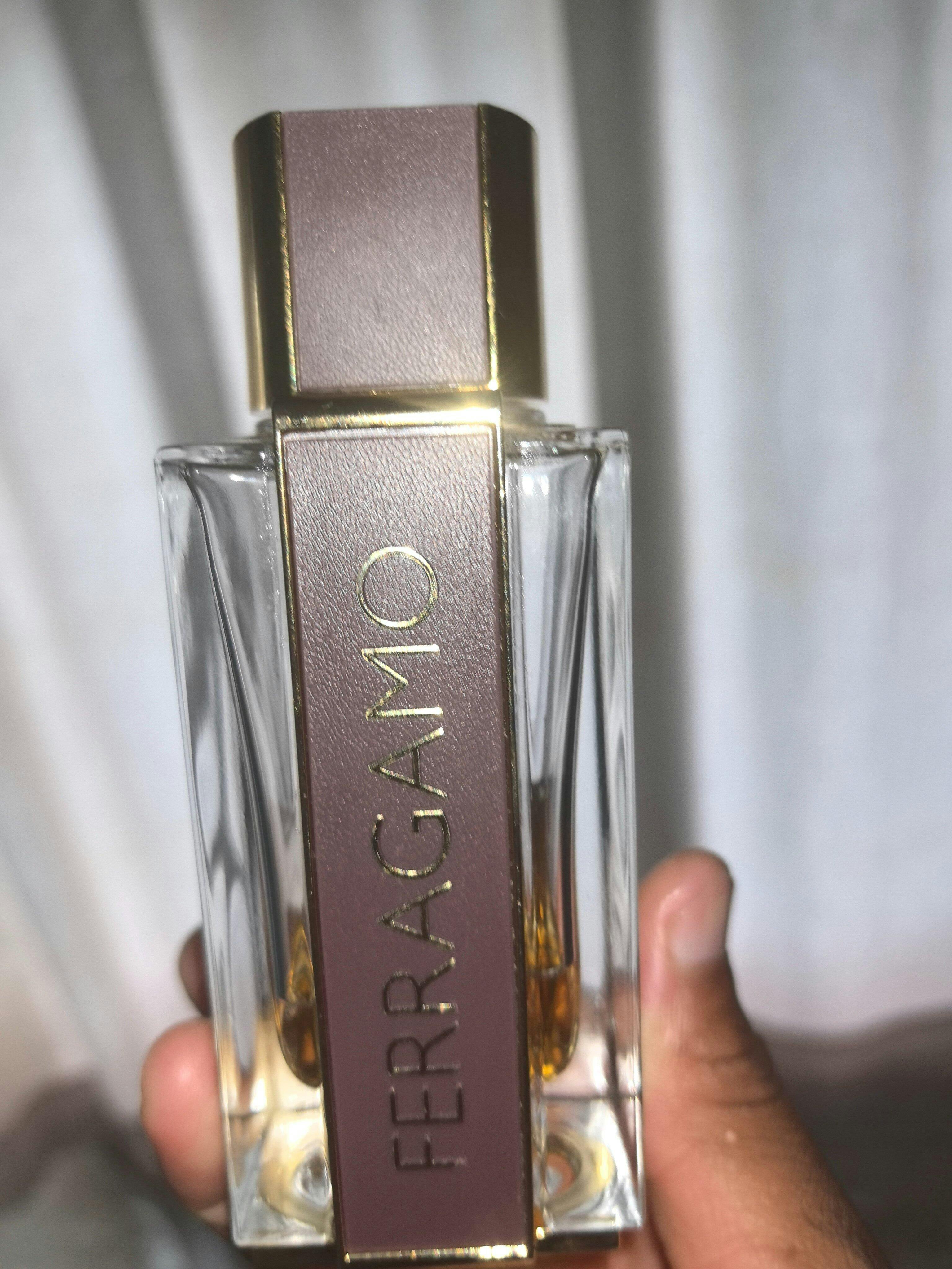 Mens Ferragamo Spicy Leather Eau De Parfum 100 ml – Edgars