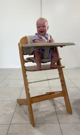 Frankie Highchair