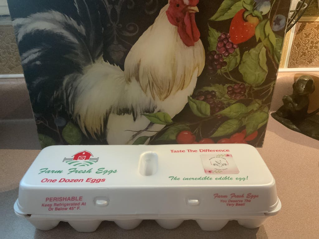 White Styrofoam Egg Carton Recyclable Foam Egg Carton