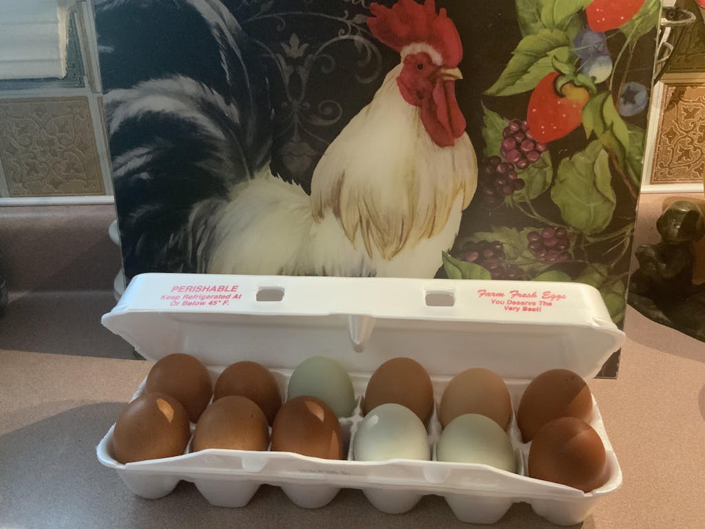 White Styrofoam Egg Carton Recyclable Foam Egg Carton