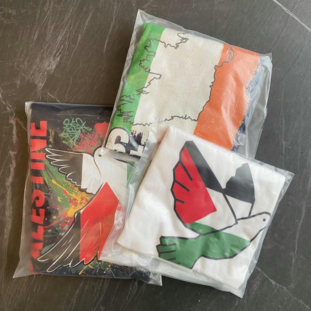 Unisex 'Palestine Lives Matter' Minimalist Print T-Shirt