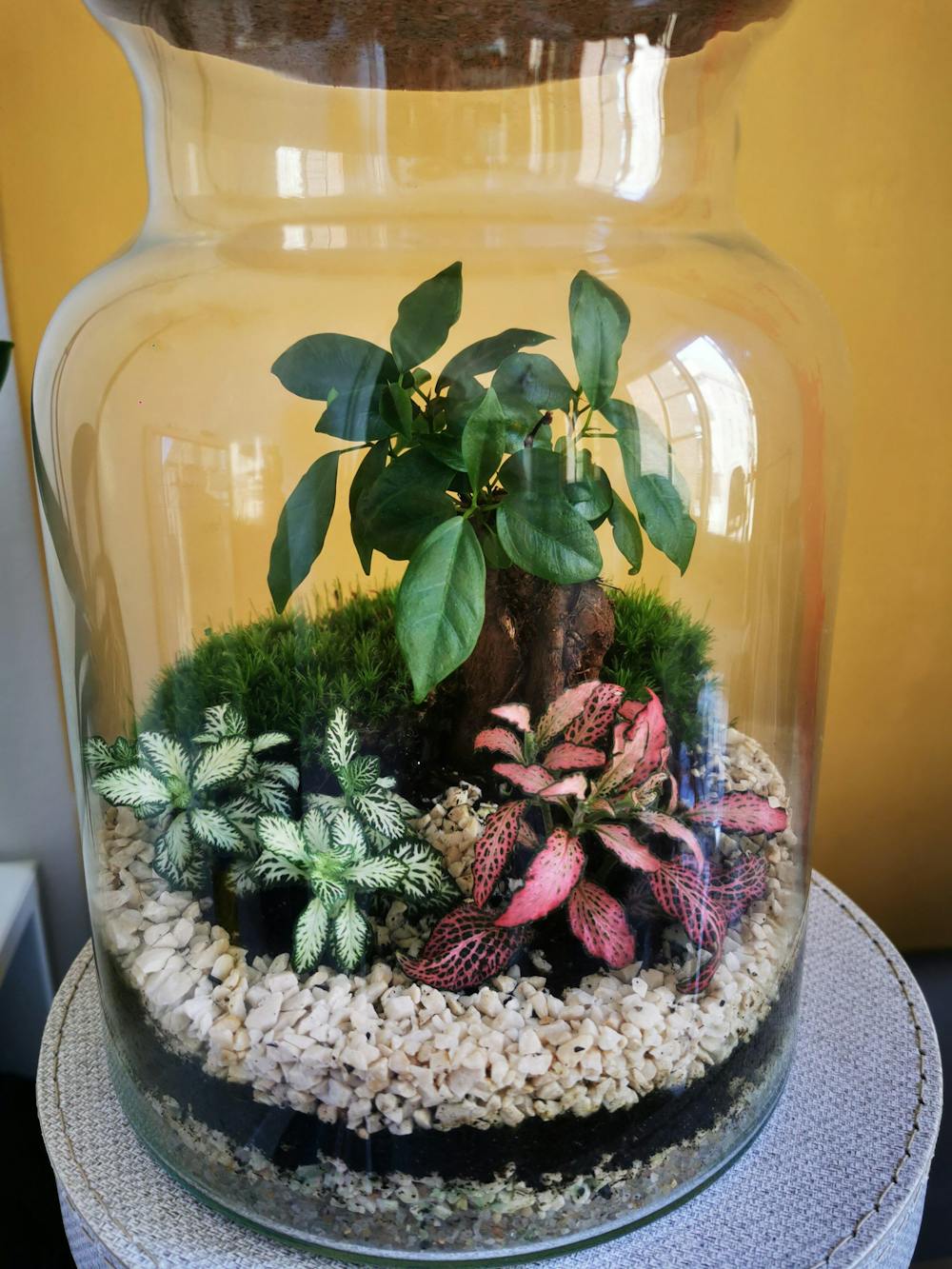 Reseñas de nuestros clientes