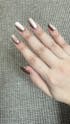 Bronze Shimmer