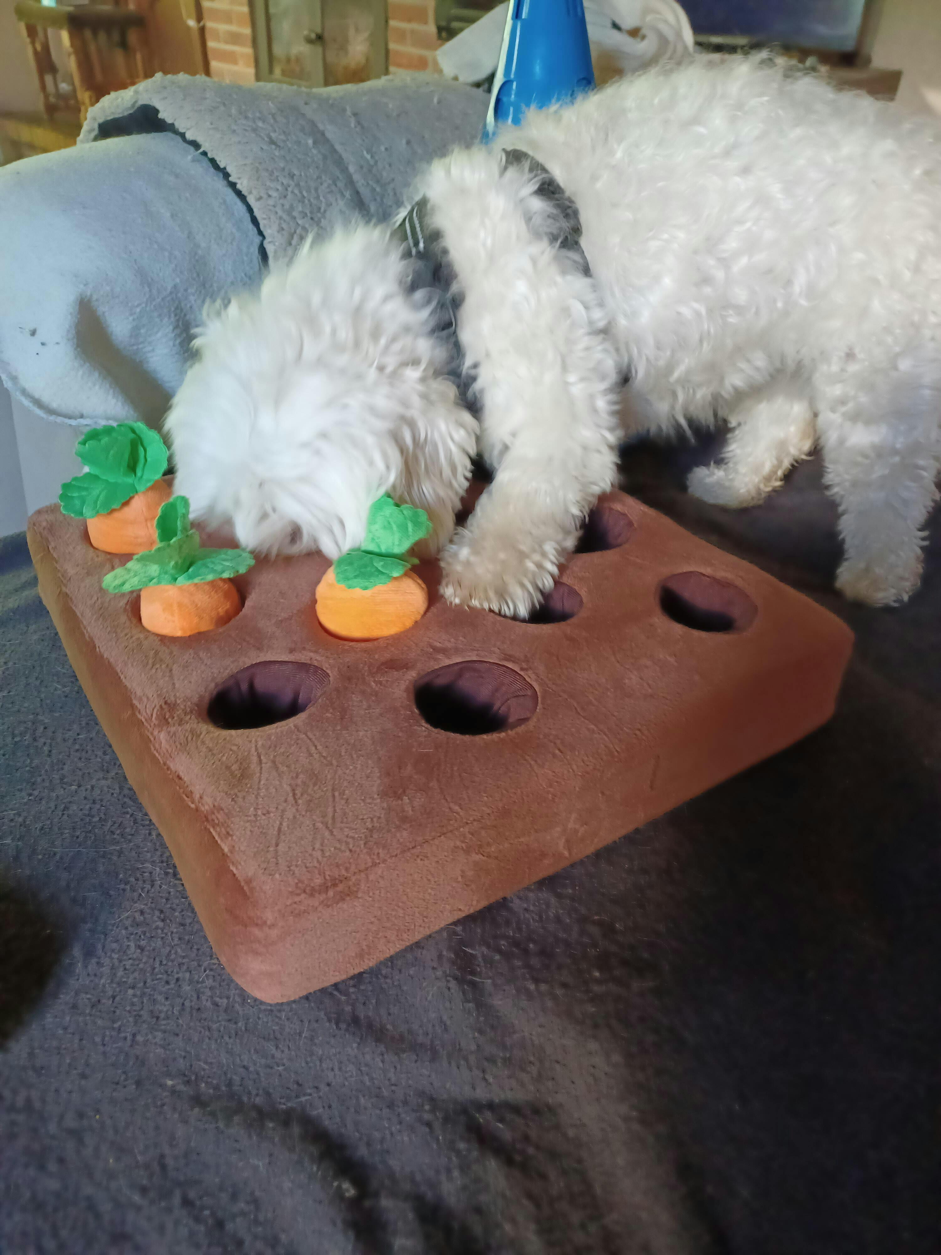 Foto van Elsie P.