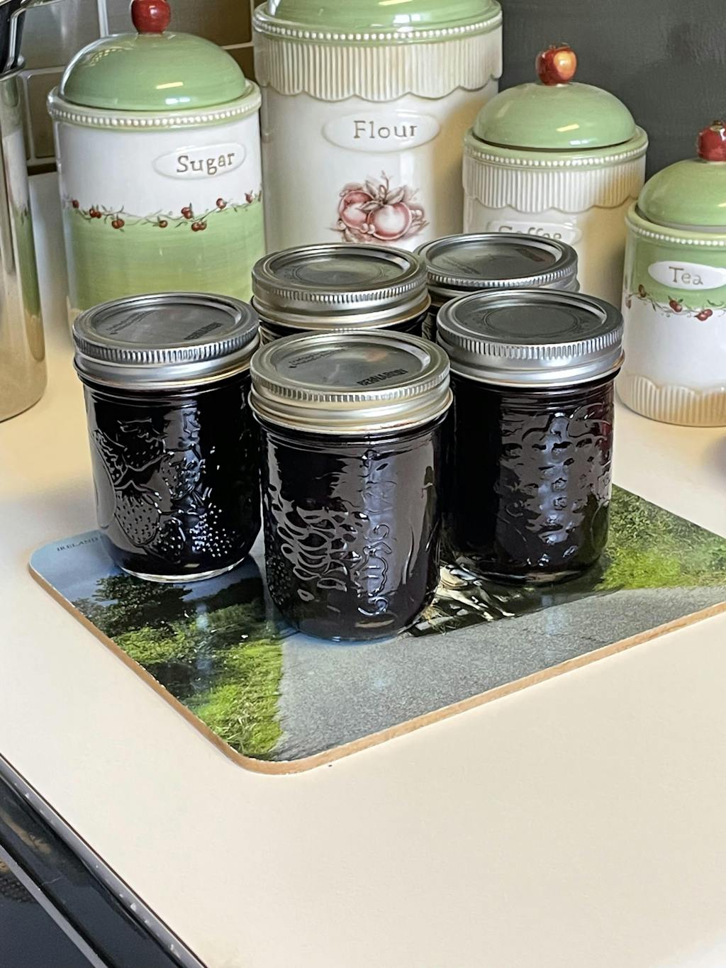 Frozen Elderberries, Certified Organic Elderberry Grove Farm