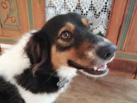 Pack senior articulaire