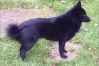 Pack senior articulaire