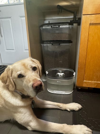 Elfin Fountain D1 Pro