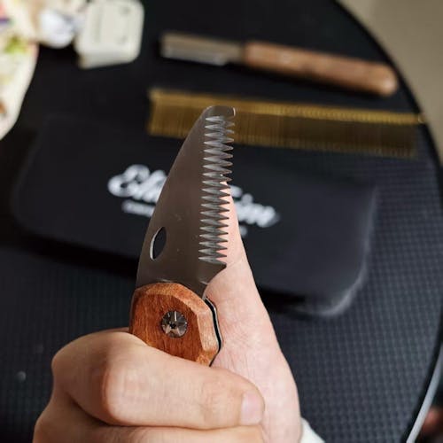 Folding Walnut Dog Stripping Knife