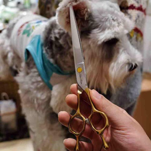 Double-Tail™ | 7.0" Curved Shears