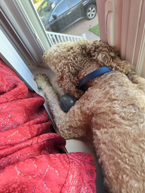 ErgoFlow™ | 7.0" Curved Shears