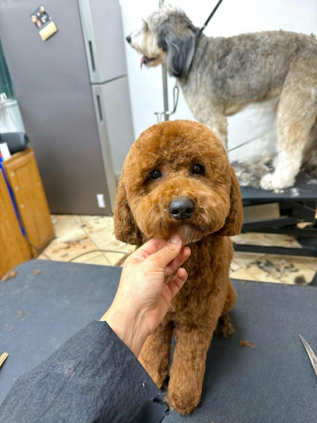 GhostCut™ | 7.0" Curved Eraser | Left-Handed