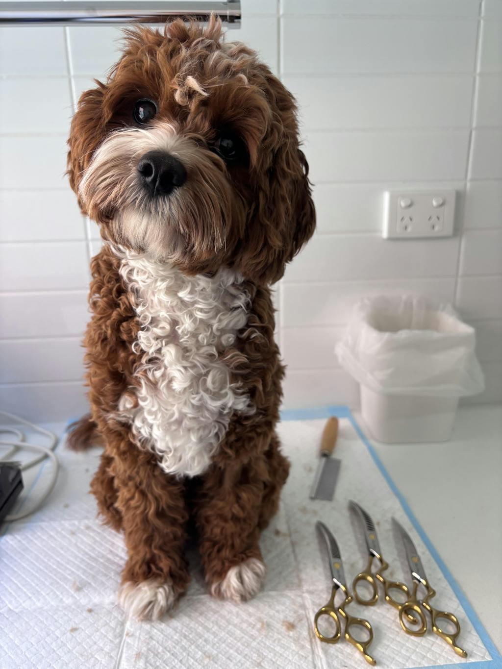 ErgoFlow™ Series | 7.0" Curved Shears