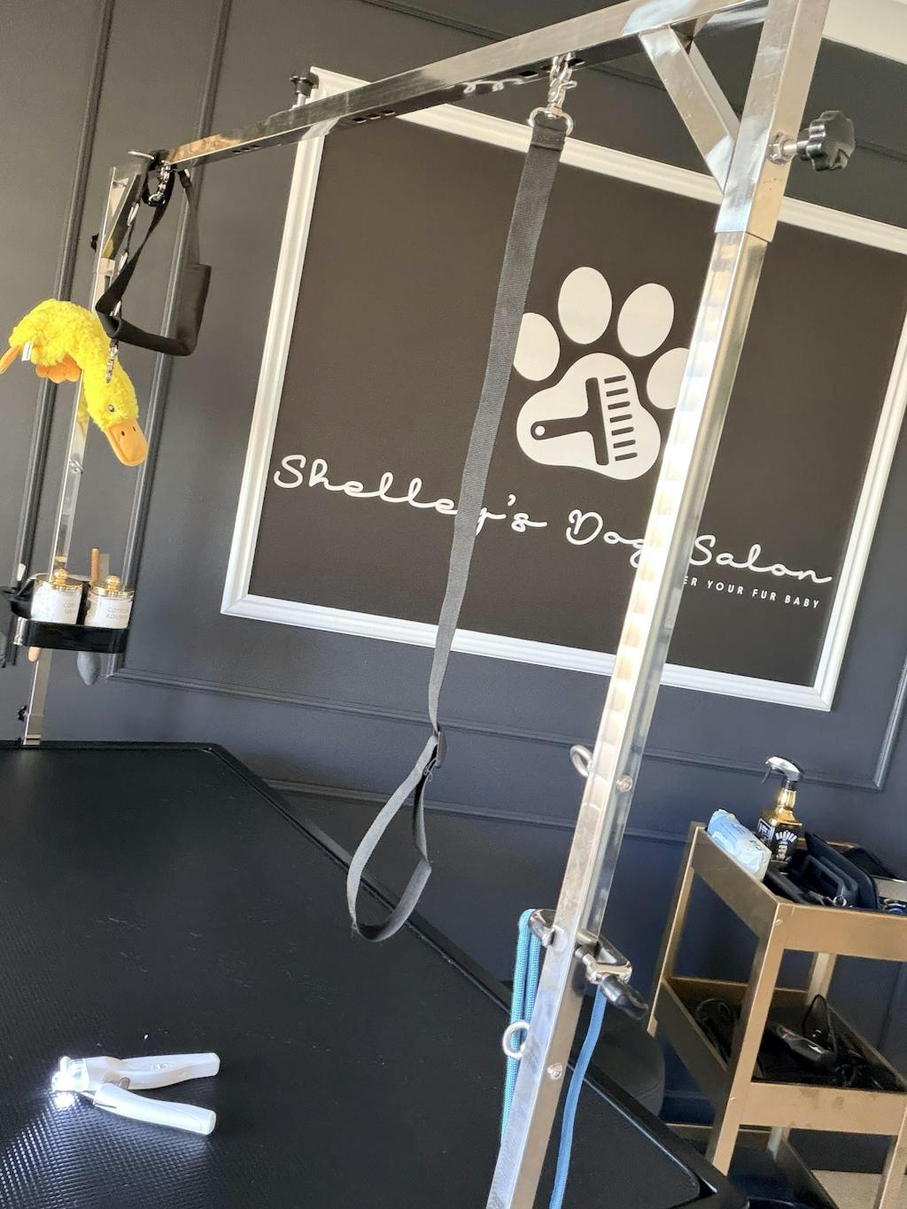 Safe Dog Nail Clipper with Quick Sensor