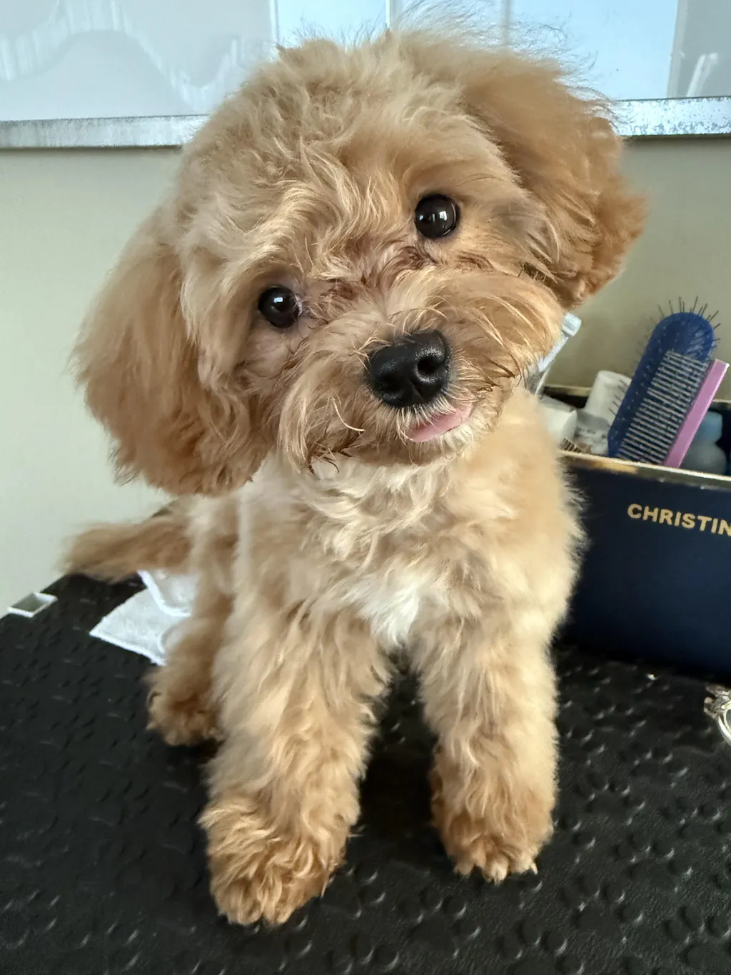 ErgoFlow™ Series | 7.0" Curved Shears