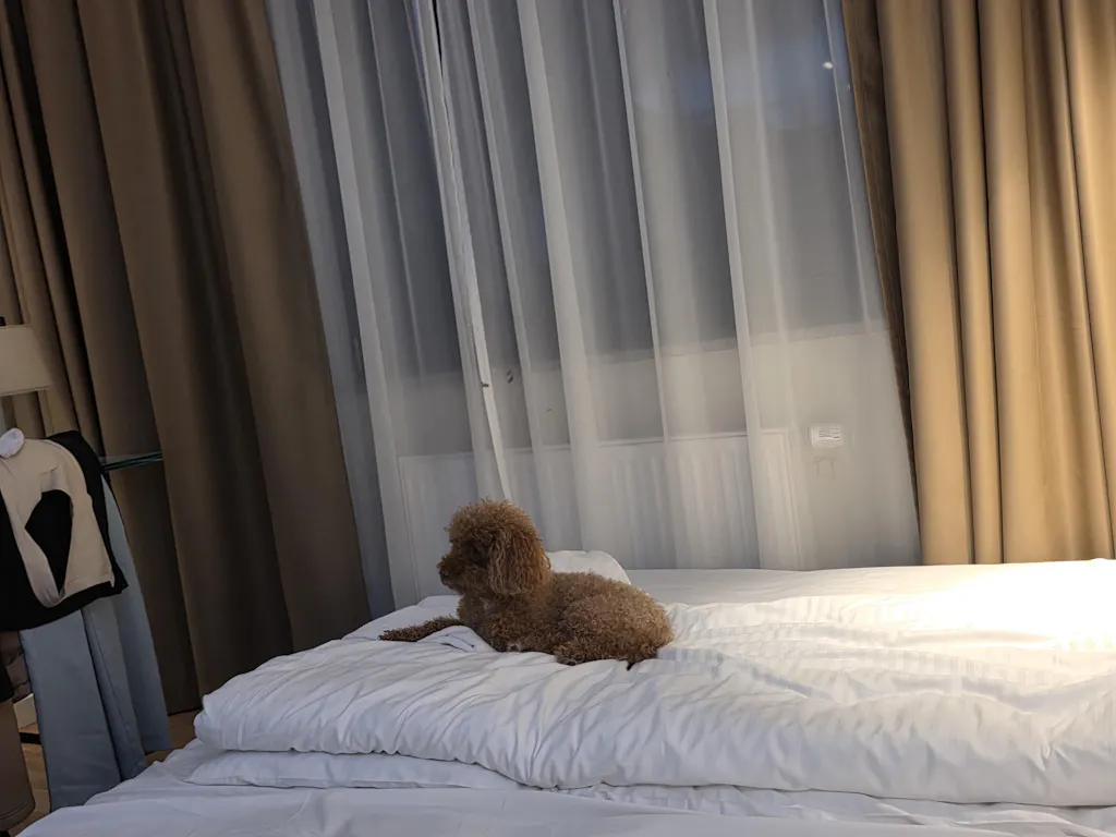 Double-Tail™ Series | 7.0" Curved Shears