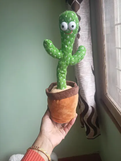 Dancing Cactus Talking Toy, Chargeable Toy  eLocalshop