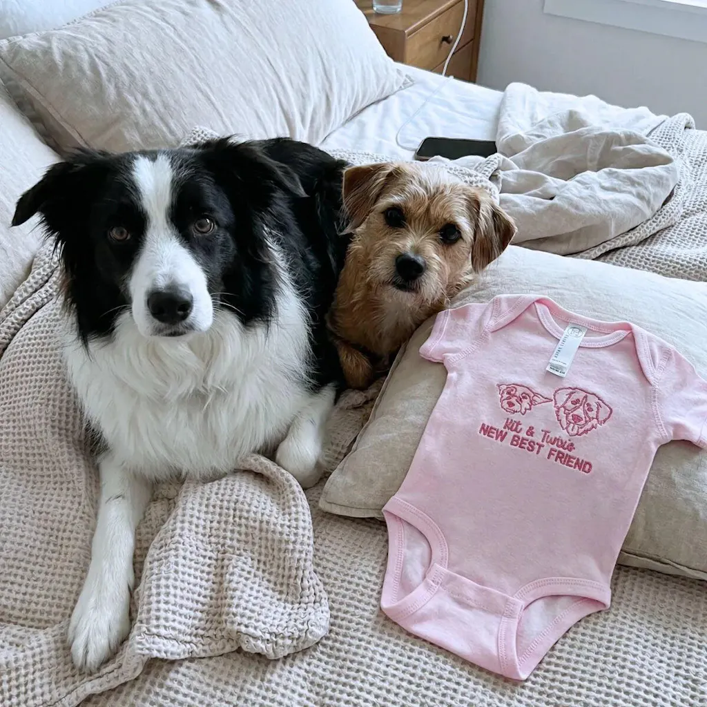 Custom Pet Portrait Line Art Embroidered Baby Bodysuit Onesie from Photo, Dog Cat Name's