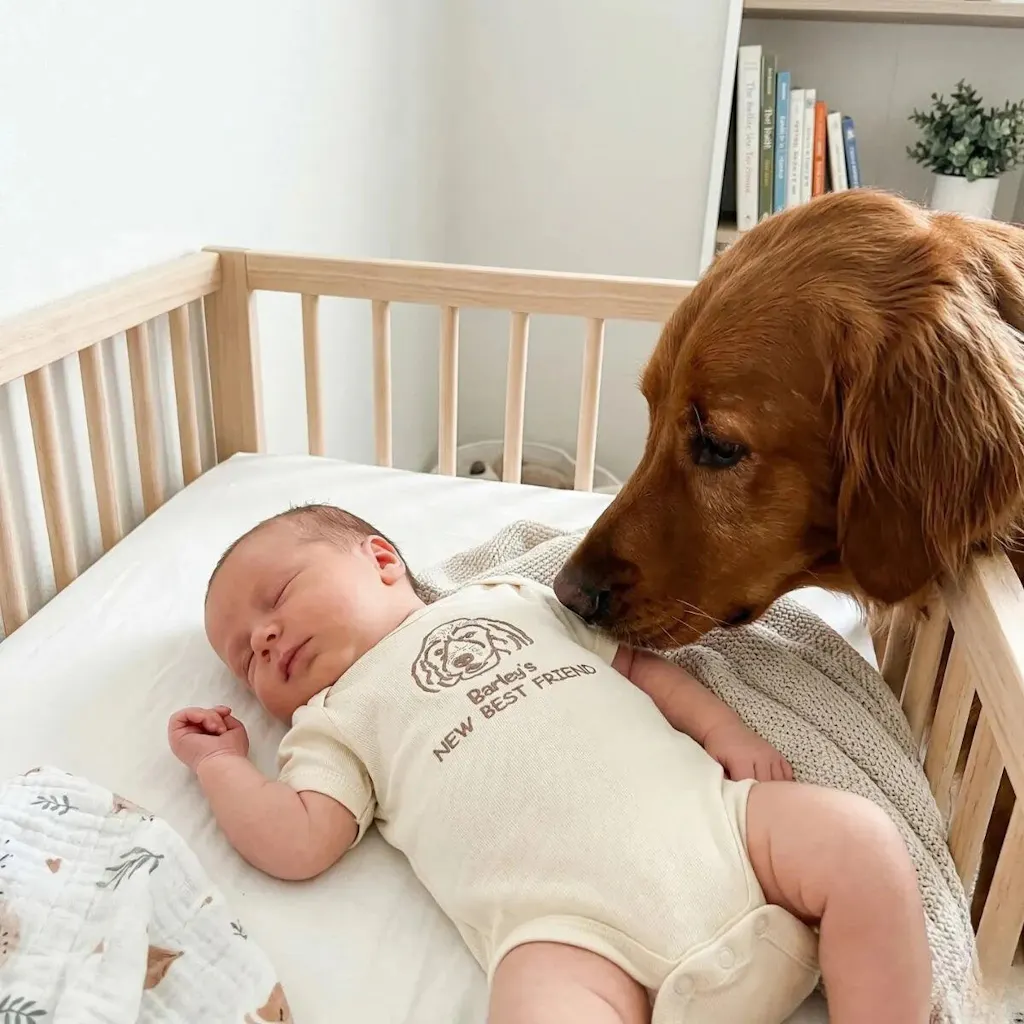 Custom Pet Portrait Line Art Embroidered Baby Bodysuit Onesie from Photo, Dog Cat Name's